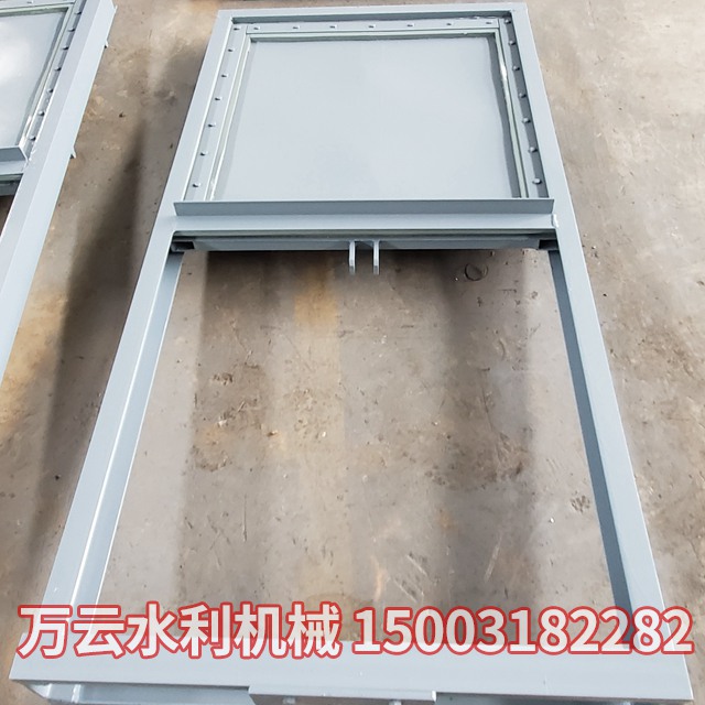 机闸一体式闸门 (2)