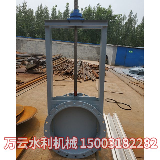 机闸一体式闸门 (3)