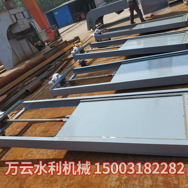 机闸一体式闸门 (4)